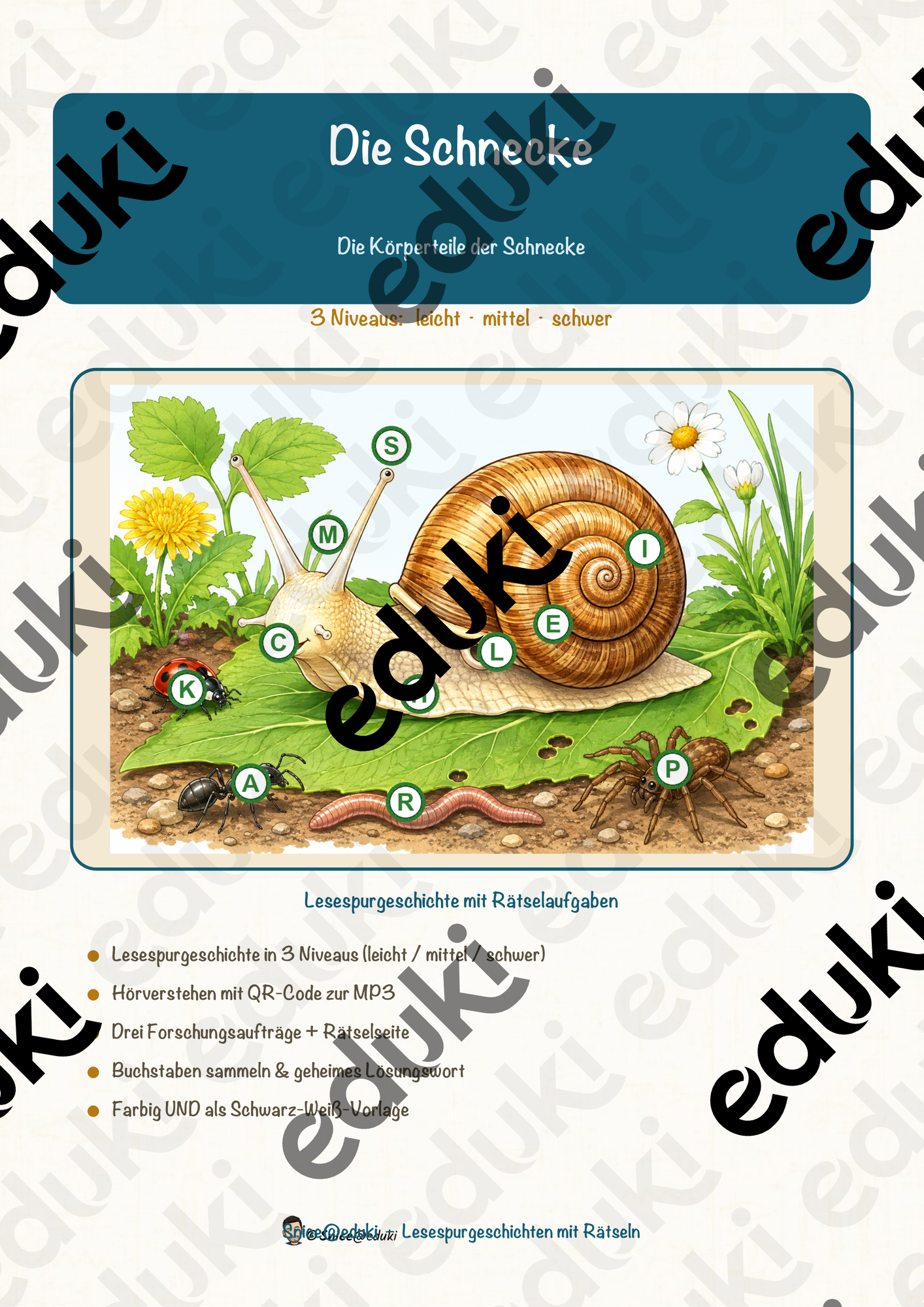 Die Schnecke – Lesespurgeschichte mit Rätselaufgaben (Klasse 5)
