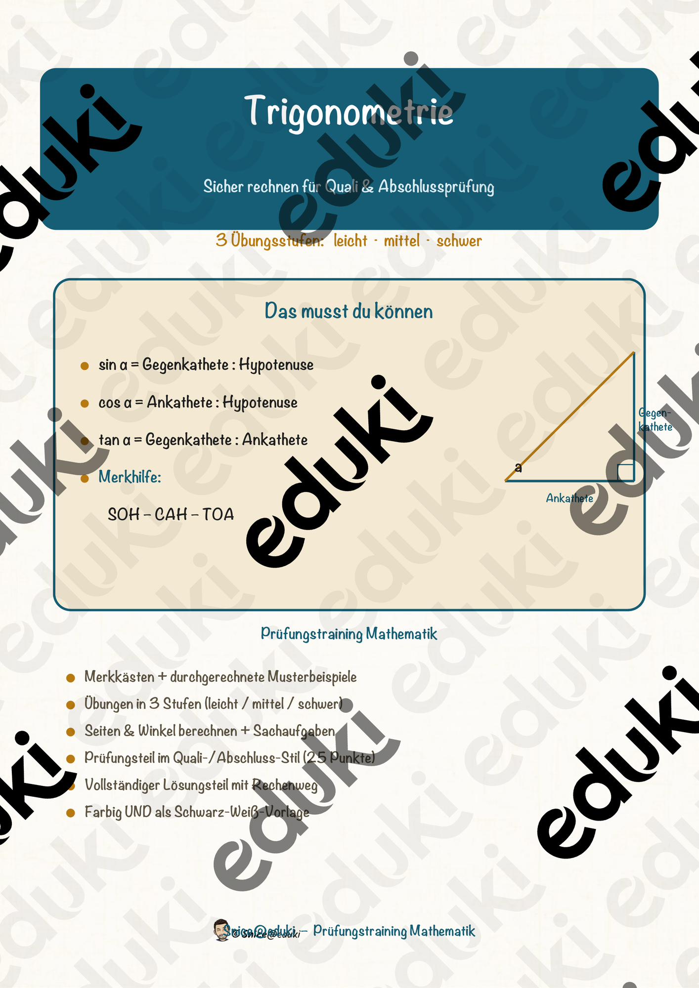 Trigonometrie – Prüfungstraining Mathematik (Klasse 9)