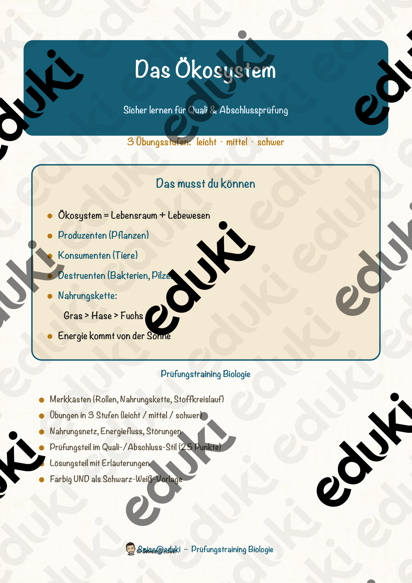 Das Ökosystem – Prüfungstraining Biologie (Klasse 8)