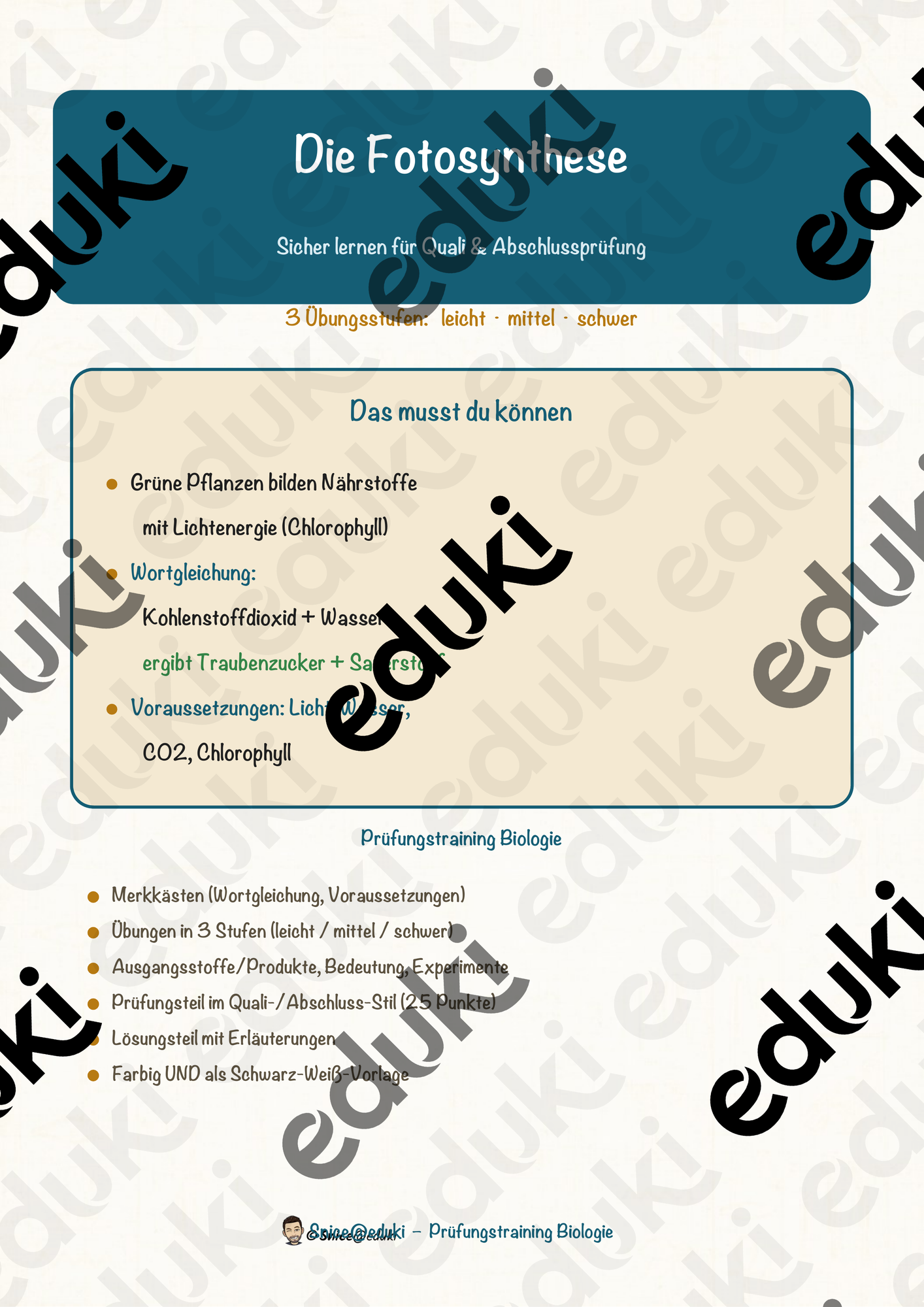 Die Fotosynthese – Prüfungstraining Biologie (Klasse 8)