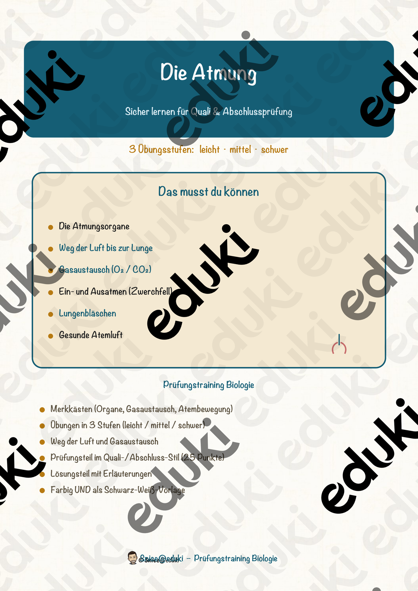 Die Atmung – Prüfungstraining Biologie (Klasse 8)