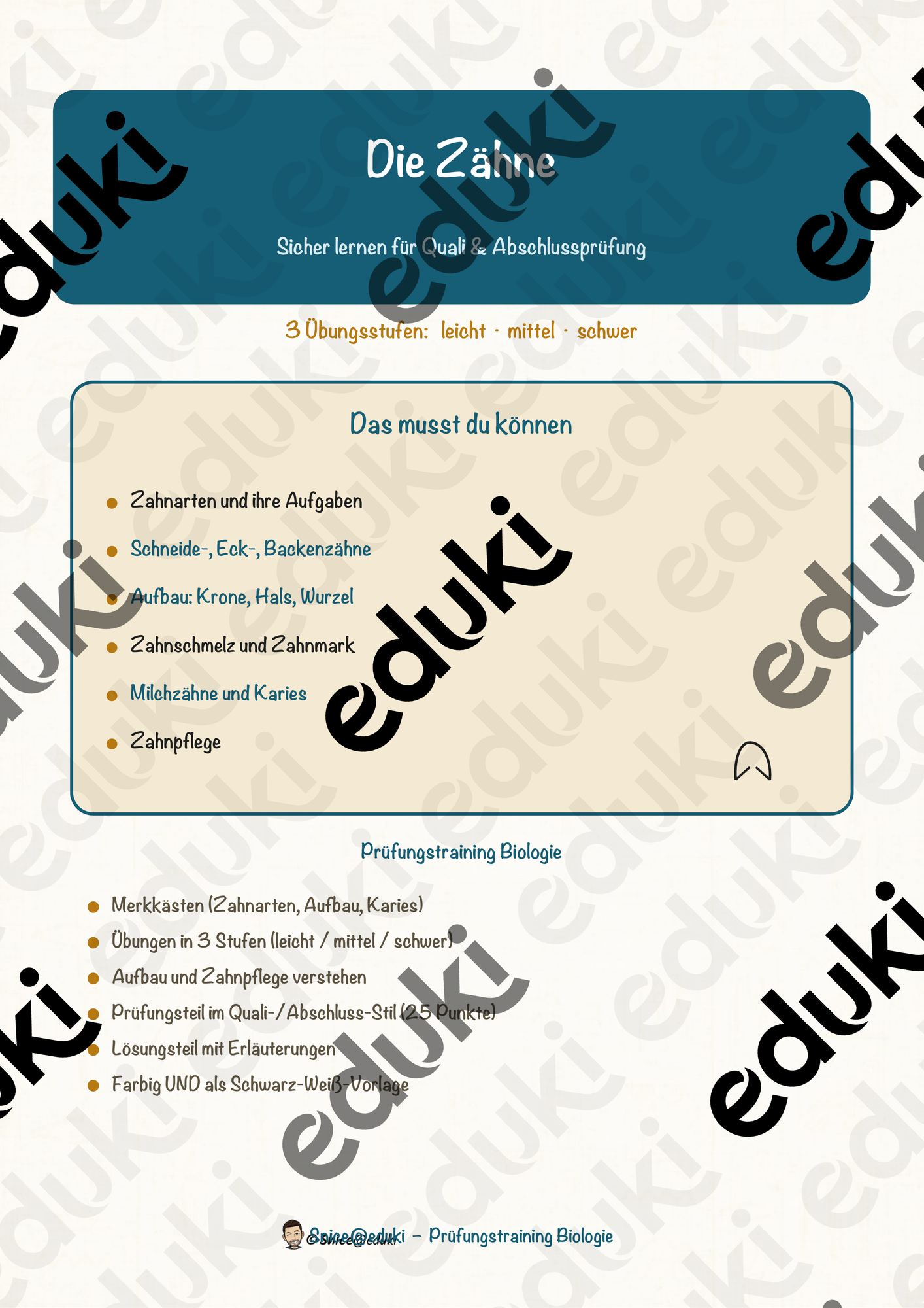 Die Zähne – Prüfungstraining Biologie (Klasse 8)