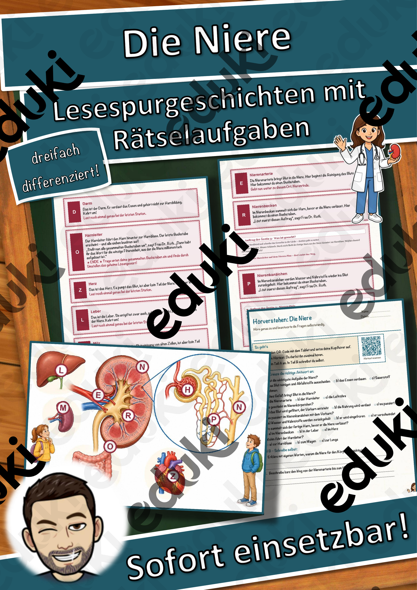 Die Niere – Lesespurgeschichte mit Rätselaufgaben (Klasse 8)