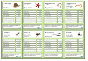 Wirbellose Tiere – Trumpf Kartenspiel – Unterrichtsmaterial im Fach