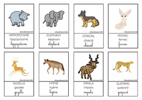 Cartes de nomenclatures les animaux d'afrique