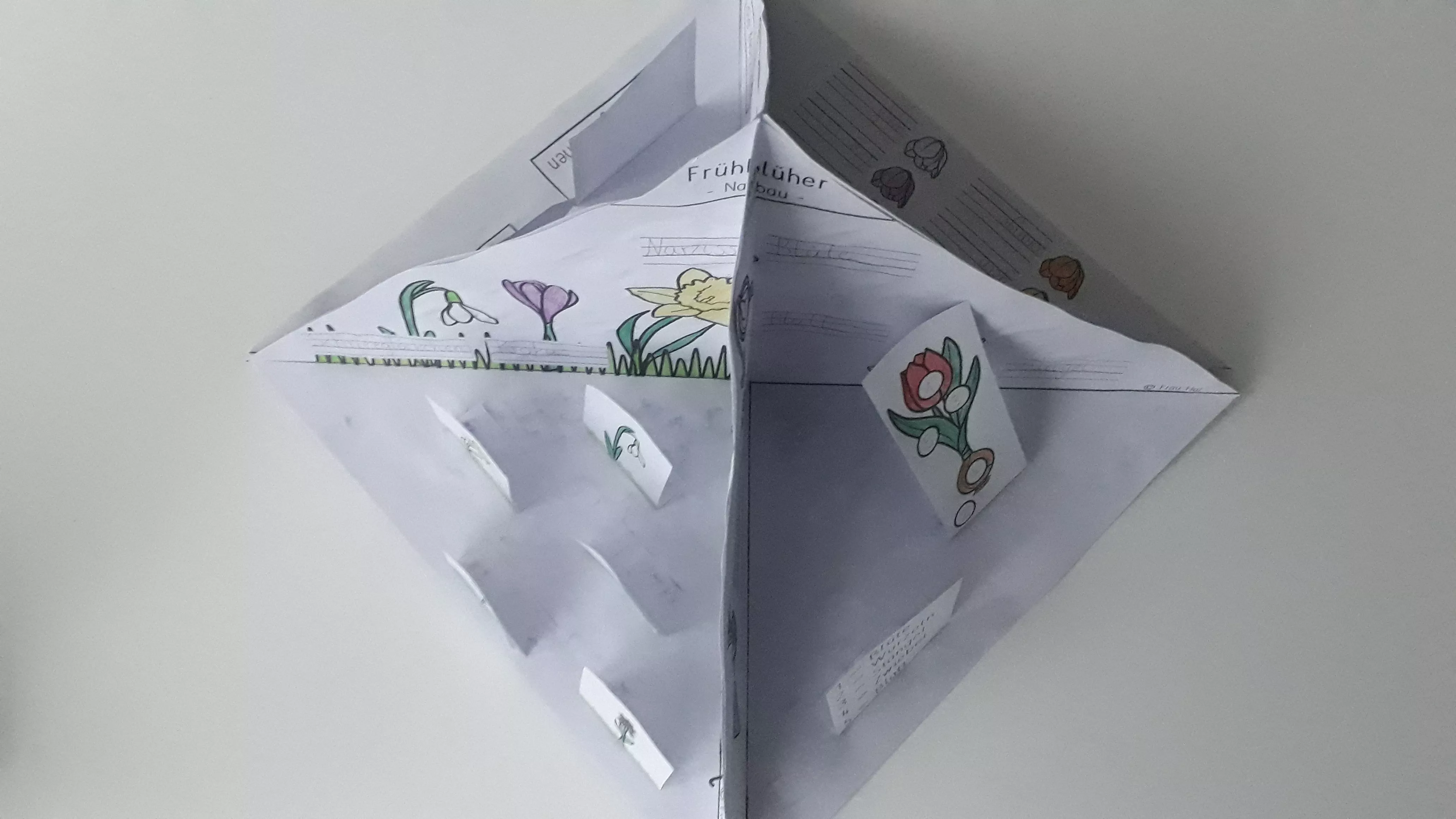 Bild in der Beschreibung des Unterrichtsmaterials Frühblüher - Quadrama (DIN A3) für die 1. Klasse #edukilights22 von Frau Hal #4