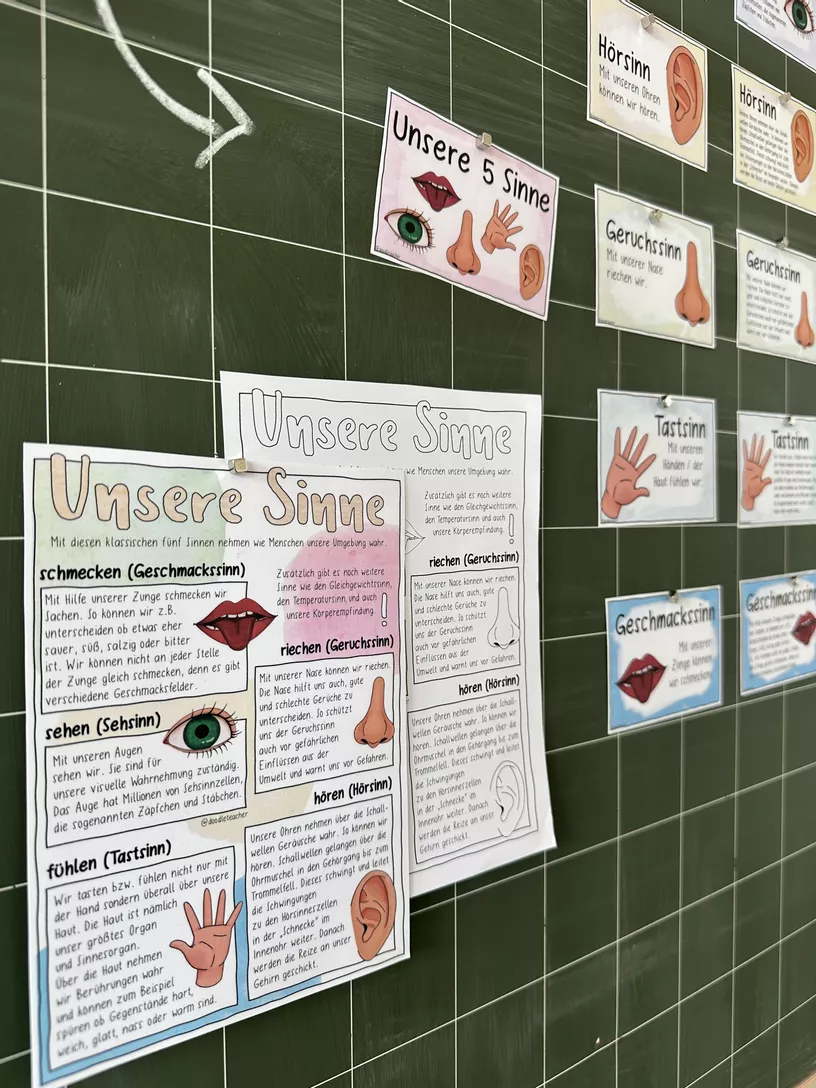 Bild in der Beschreibung des Unterrichtsmaterials Unsere 5 Sinne - Arbeitsblätter und Tafelmaterial / Wahrnehmung von Doodleteacher #1