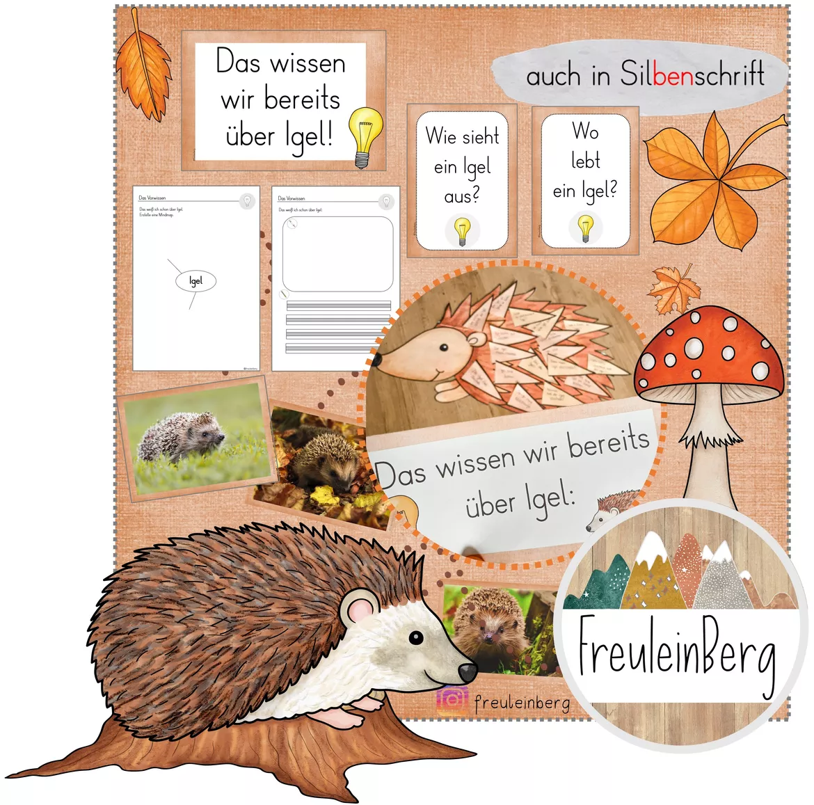 Bild in der Beschreibung des Unterrichtsmaterials 1. Stunde: Der Igel - Einführungsstunde (Vorwissen) von FreuleinBerg #1