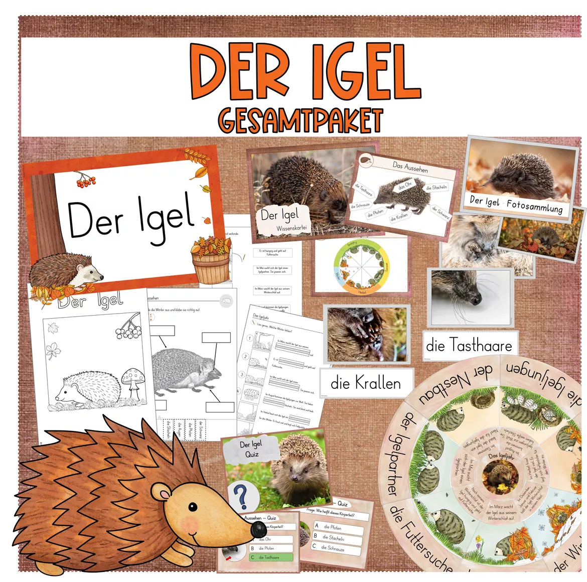 Bild in der Beschreibung des Unterrichtsmaterials Der Igel - GESAMTPAKET - Klasse 1/2 - differenziert (inkl. Stundenentwürfe) von FreuleinBerg #1