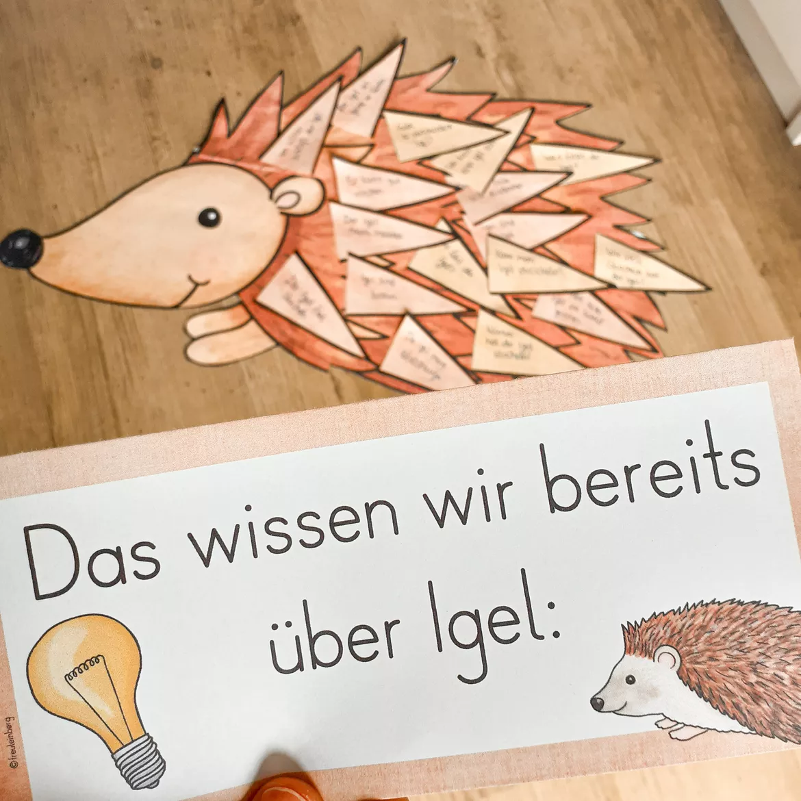 Bild in der Beschreibung des Unterrichtsmaterials 1. Stunde: Der Igel - Einführungsstunde (Vorwissen) von FreuleinBerg #2