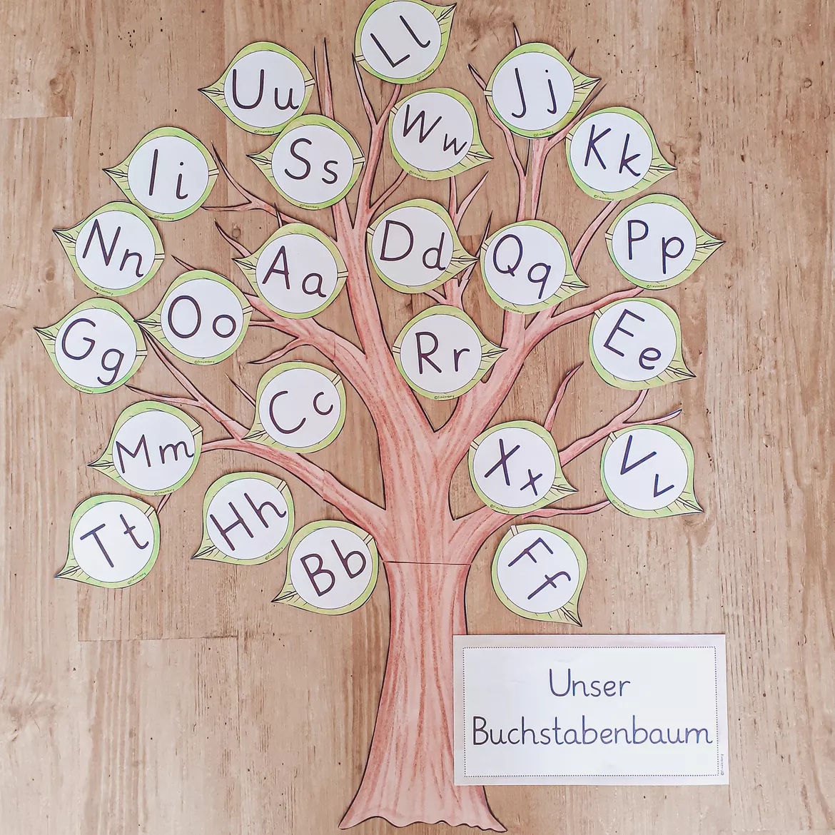 Bild in der Beschreibung des Unterrichtsmaterials Buchstabenbaum - Anfangsunterricht (Grund- und Druckschrift) von FreuleinBerg #3