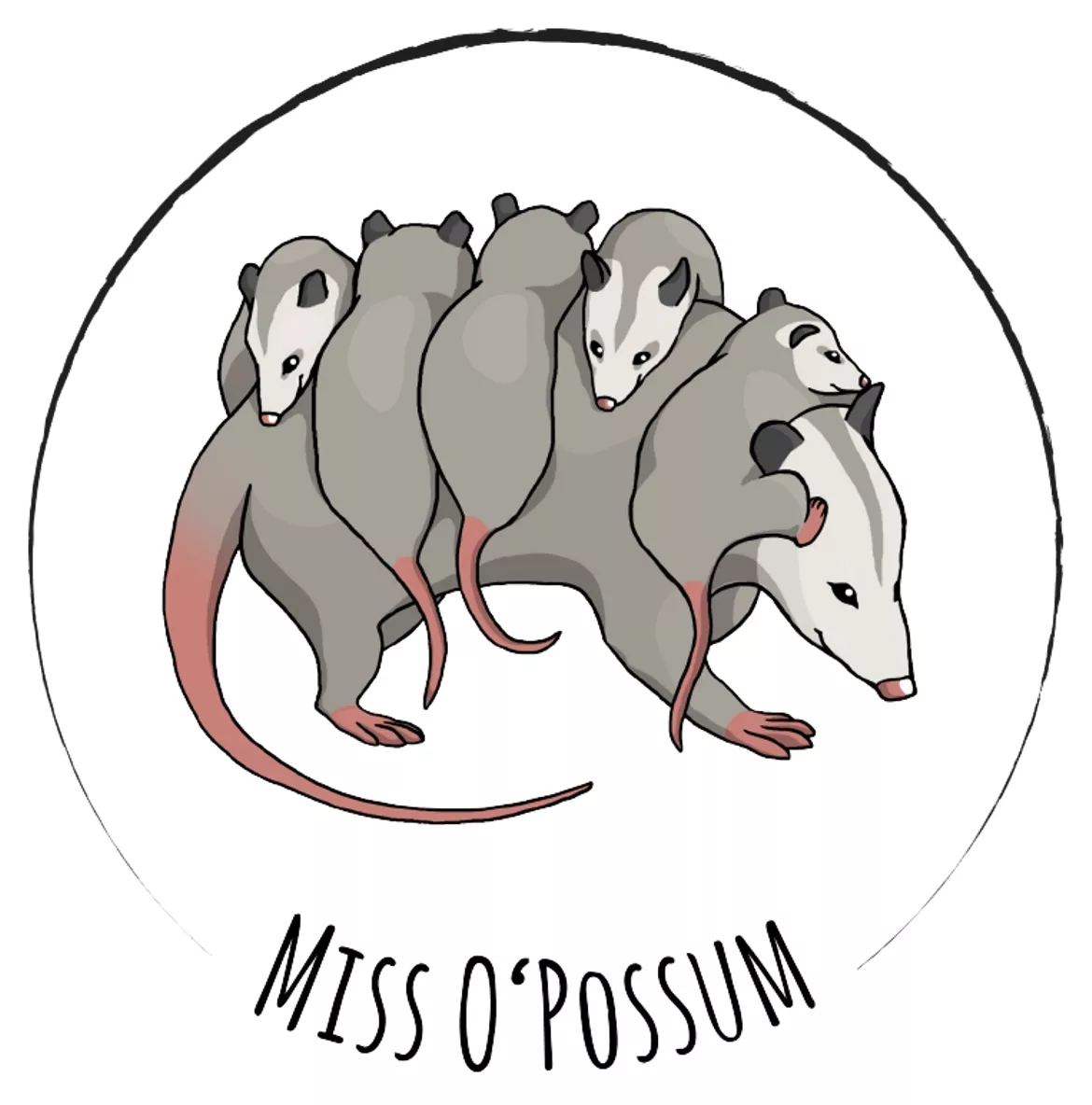 Bild in der Beschreibung des Unterrichtsmaterials Ordnen: Haussperling, Feldsperling oder Spatz? (3-fache Ausführung) von Miss O
