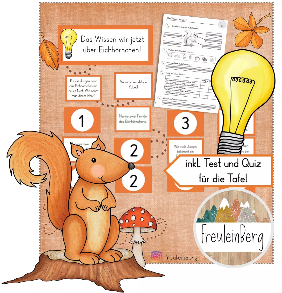 Bild in der Beschreibung des Unterrichtsmaterials Lernzielkontrolle und Quiz zum Eichhörnchen von FreuleinBerg #1