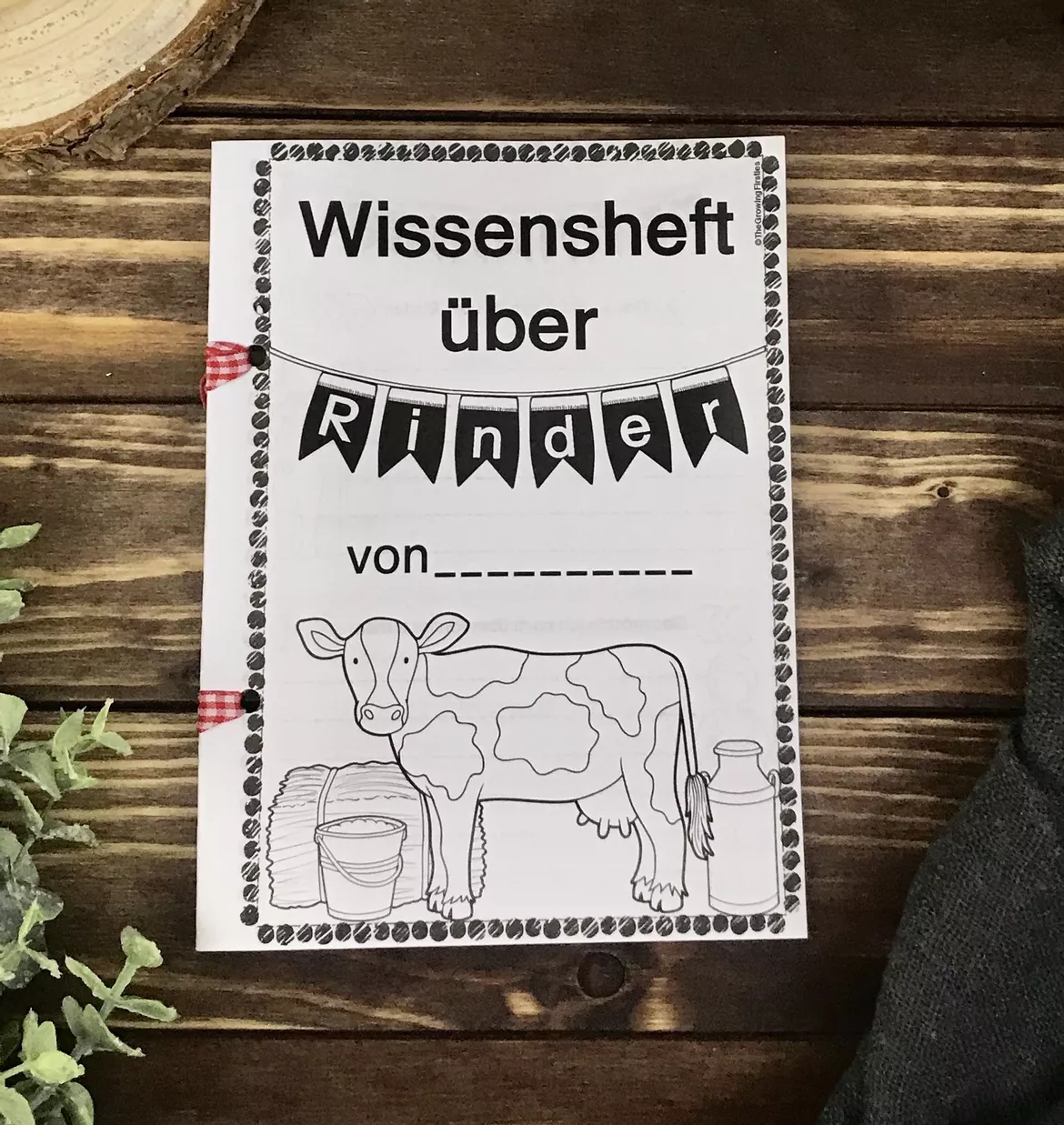 Bild in der Beschreibung des Unterrichtsmaterials Materialpaket zum Rind von The Growing Firsties #2