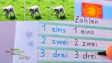 Bild in der Beschreibung des Unterrichtsmaterials Alphabetisierung und Deutsch A1 - 35 Schreibvorlagen mit Bildern und Videos - auch geeignet für LernerInnen aus der Ukraine von Alphabetisierung Deutsch #7