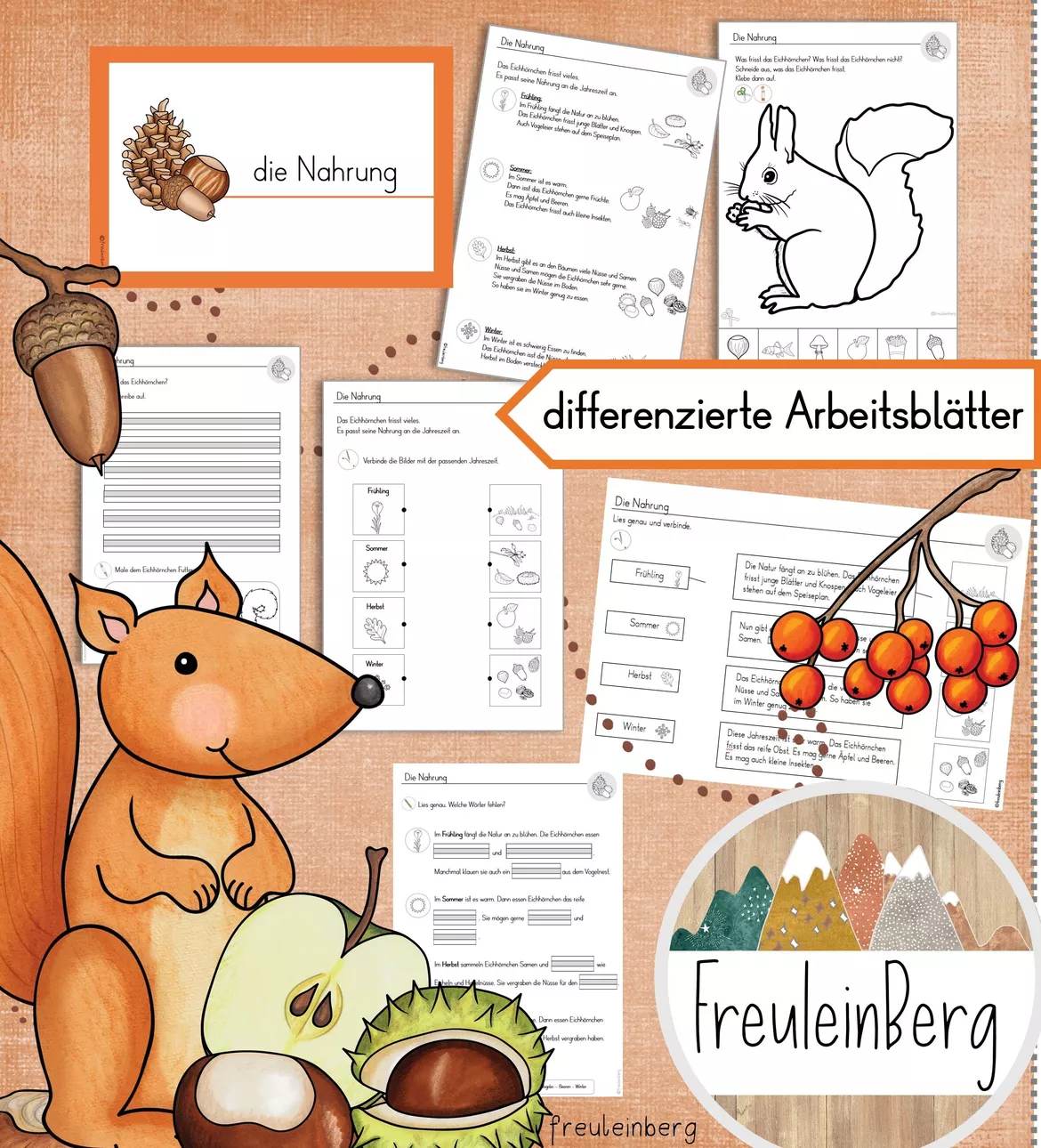 Bild in der Beschreibung des Unterrichtsmaterials Nahrung des Eichhörnchens - Differenzierte Arbeitsblätter von FreuleinBerg #1