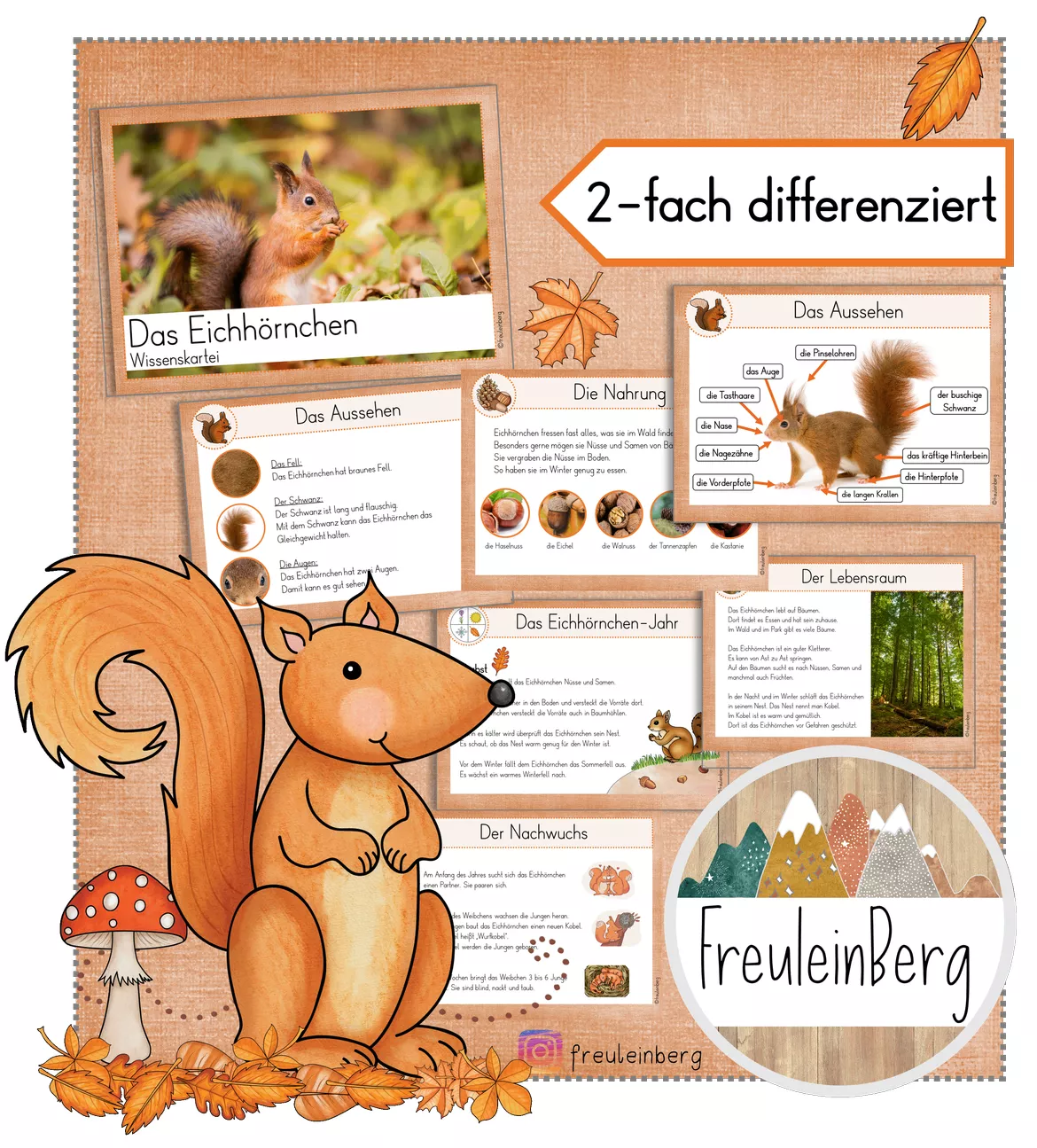 Bild in der Beschreibung des Unterrichtsmaterials Wissenskartei - Eichhörnchen (2-fach differenziert) von FreuleinBerg #1