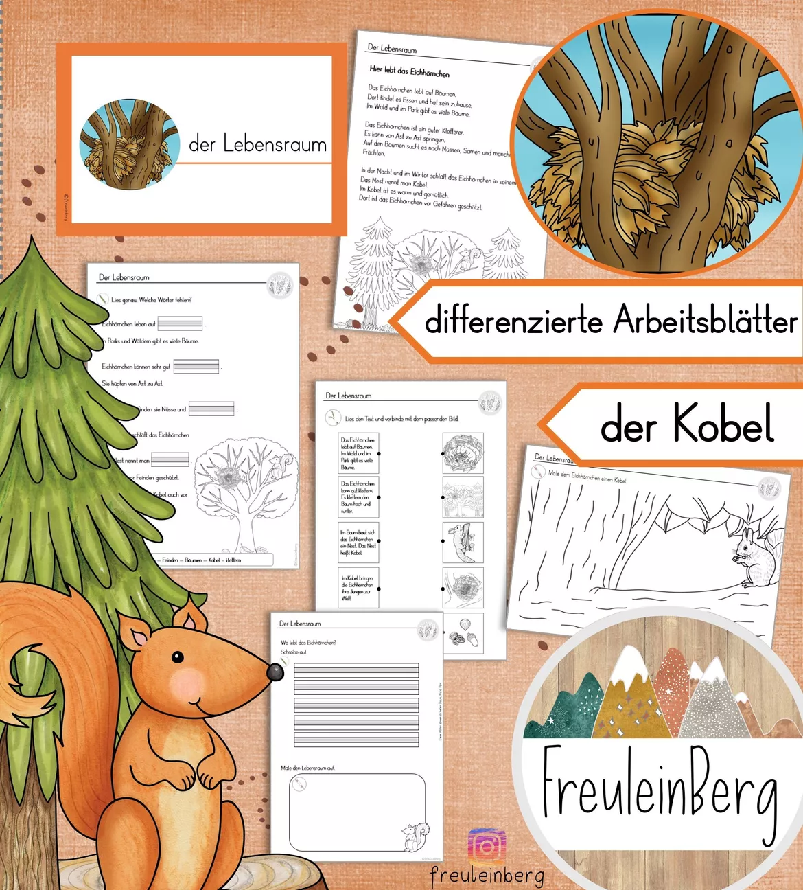Bild in der Beschreibung des Unterrichtsmaterials Lebensraum des Eichhörnchens - Differenzierte Arbeitsblätter von FreuleinBerg #1