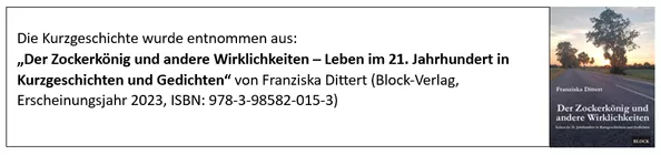 Bild in der Beschreibung des Unterrichtsmaterials Kurzgeschichte: "Pilotin" (Franziska Dittert) Schule, Zivilcourage, Mobbing, Mut | Deutsch Klasse 7-8 von Dr. Dittert #1