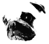 Bild in der Beschreibung des Unterrichtsmaterials Ethik - Mensch und Tier von PugSchool #1