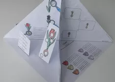 Bild in der Beschreibung des Unterrichtsmaterials Frühblüher - Quadrama (DIN A3) für die 1. Klasse #edukilights22 von Frau Hal #2