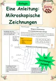 Bild in der Beschreibung des Unterrichtsmaterials AB Aufbau eines Mikroskops von Zourie #1