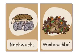 Bild in der Beschreibung des Unterrichtsmaterials Selbstlernheft der Igel, Arbeitsblätter differenziert mit Lösungsheft. 1.Klasse, 2.Klasse, 3.Klasse, Förderschule von LernTagebuch #1
