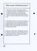 Bild in der Beschreibung des Unterrichtsmaterials Entdecke die Welt der Eichhörnchen Leseheft Grundschüler von Herr Richter #2