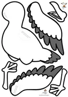 Vista previa - Manualidades / Dibujos para colorear - Classroom Printables Seagulls Gaviotas - página 3
