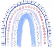 Vorschau - selbst erstellte Cliparts/Grafiken - Regenbogen Clipart Set - verschiedene Farben - Boho - Seite 3