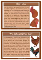 Vorschau - Stationenlernen - Einfache Wissenskarten-Huhn - Seite 2