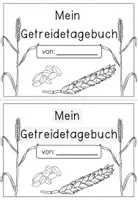 Vorschau - Arbeitsblätter - Getreide - vom Korn zum Getreide inklusive Getreidetagebuch und Bildkarten - Seite 1