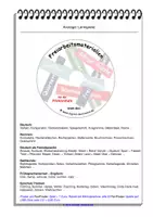 Vorschau - Arbeitsblätter - Freiarbeitsmaterial - „Schiffe versenken“ + „Stadt-Land-Fluss“ - Seite 2