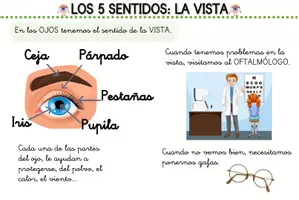 Vista previa - Hojas de trabajo - FICHA SENTIDO DE LA VISTA GENIALLY - Portada