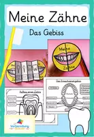 Vorschau - Arbeitsblätter - Meine Zähne - Milchgebiss - Erwachsenengebiss - Deckblatt