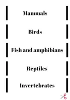 Vista previa - Juegos / Gamificación - Types of animals - Portada