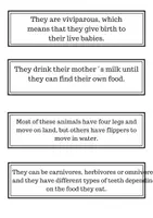 Vista previa - Juegos / Gamificación - Types of animals - página 2