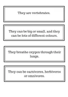 Vista previa - Juegos / Gamificación - Types of animals - página 3