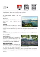 Vorschau - Arbeitsblätter - Arbeitsblatt "Salzburg" mit Erklärvideo, Lösungen und Onlineübungen - Seite 3