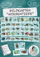 Vorschau - selbst erstellte Cliparts/Grafiken - Bildkarten "Wiesentiere" / Wiese (auch zum selbst beschriften!) - Deckblatt