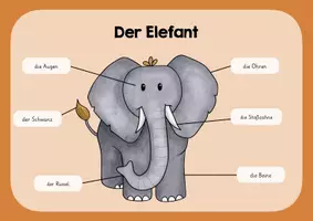Vorschau - Poster - Der Elefant - Lernplakat - Deckblatt