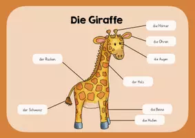 Vorschau - Poster - Die Giraffe - Lernplakat - Deckblatt