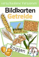 Vorschau - Poster - Getreide - Bildkarten und Tafelmaterial - Deckblatt