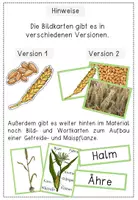 Vorschau - Poster - Getreide - Bildkarten und Tafelmaterial - Seite 1