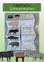Vorschau - Mal- und Bastelvorlagen - Leporello - Schweinearten - Deckblatt