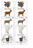 Vorschau - Mal- und Bastelvorlagen - Leporello - Ziege - Seite 2