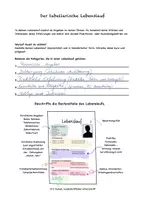 Vorschau - Arbeitsblätter - Tabellarischer Lebenslauf - Seite 2