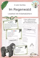 Vorschau - Arbeitsblätter - Lesetext - Im Regenwald - G wie Gorilla - Deckblatt