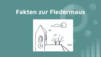 Vorschau - Präsentationen/Tafelbilder - Fledermaus Fakten - interaktive Präsentation #TimeForClimateAction - Deckblatt