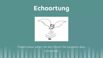 Vorschau - Präsentationen/Tafelbilder - Fledermaus Fakten - interaktive Präsentation #TimeForClimateAction - Seite 1